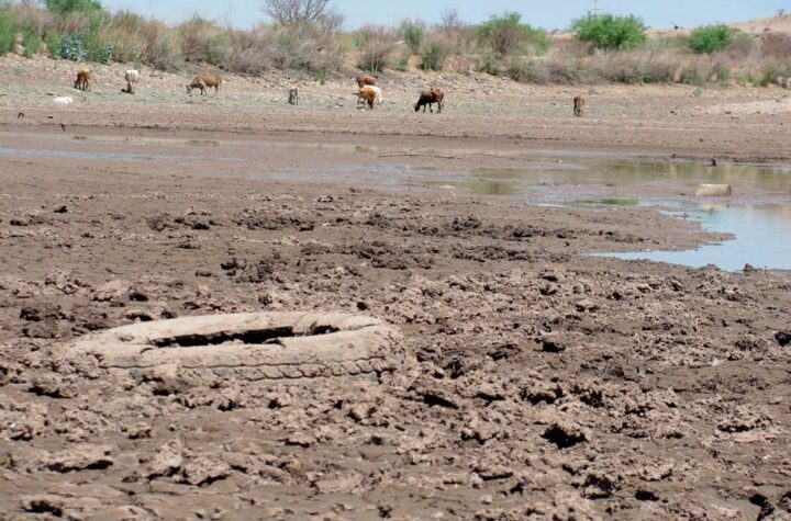 Hay al menos 7 mil pozos ilegales en Chihuahua: investigadores