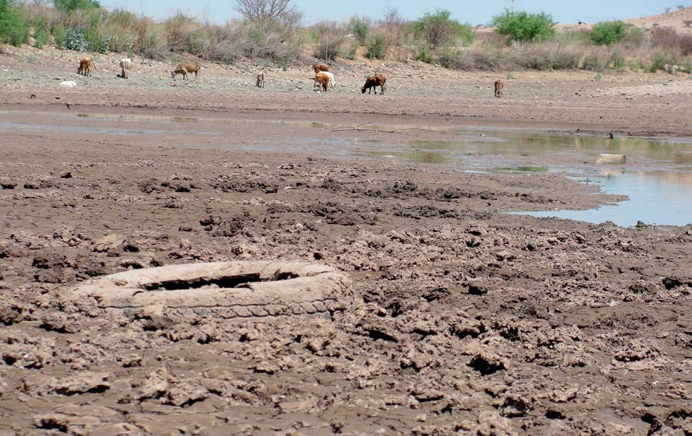 Hay al menos 7 mil pozos ilegales en Chihuahua: investigadores